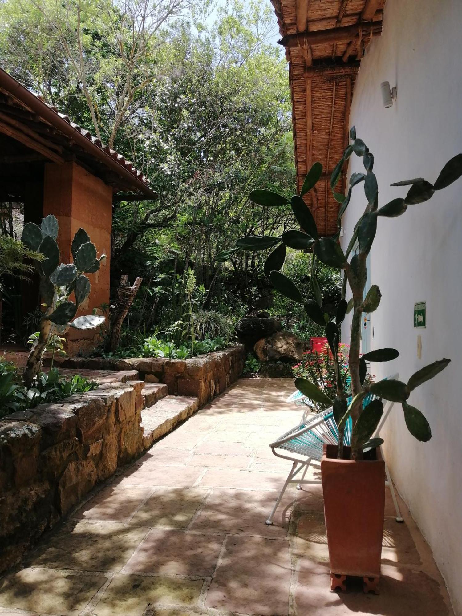 El Paraiso Posada Finca San Vicente Баричара Экстерьер фото