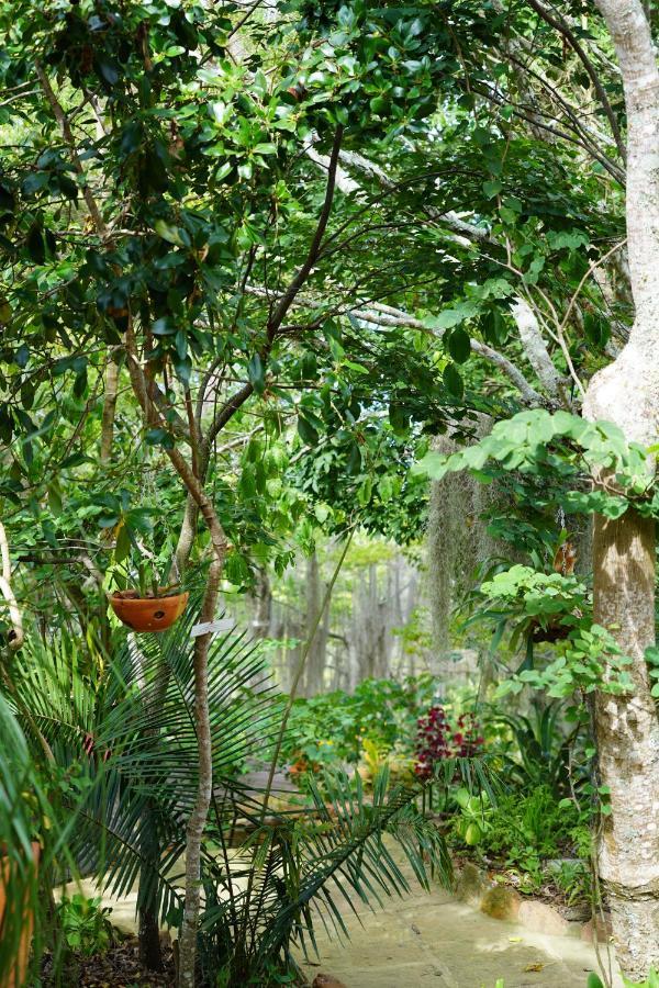 El Paraiso Posada Finca San Vicente Баричара Экстерьер фото