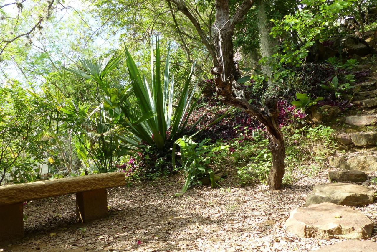 El Paraiso Posada Finca San Vicente Баричара Экстерьер фото